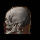 calaveras-y-esqueletos-215.jpg
