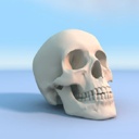 calaveras-y-esqueletos-216.jpg