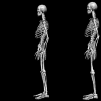 calaveras-y-esqueletos-234.gif