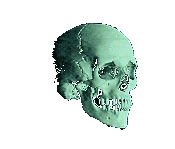calaveras-y-esqueletos-235.gif
