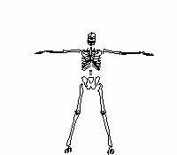 calaveras-y-esqueletos-248.gif