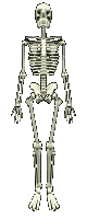 calaveras-y-esqueletos-250.gif