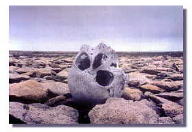 calaveras-y-esqueletos-252.jpg