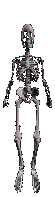 calaveras-y-esqueletos-253.gif