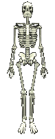 calaveras-y-esqueletos-254.gif