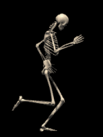 calaveras-y-esqueletos-257.gif