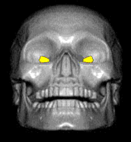 calaveras-y-esqueletos-260.gif