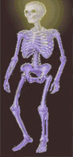 calaveras-y-esqueletos-263.gif