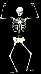 calaveras-y-esqueletos-264.gif