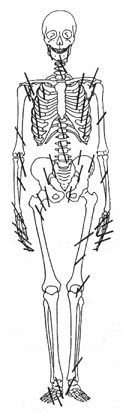 calaveras-y-esqueletos-271.jpg
