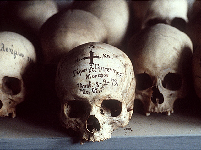 calaveras-y-esqueletos-274.jpg