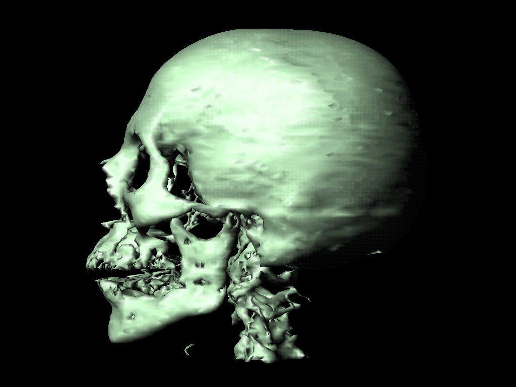 calaveras-y-esqueletos-277.gif