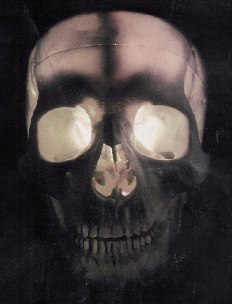 calaveras-y-esqueletos-280.jpg