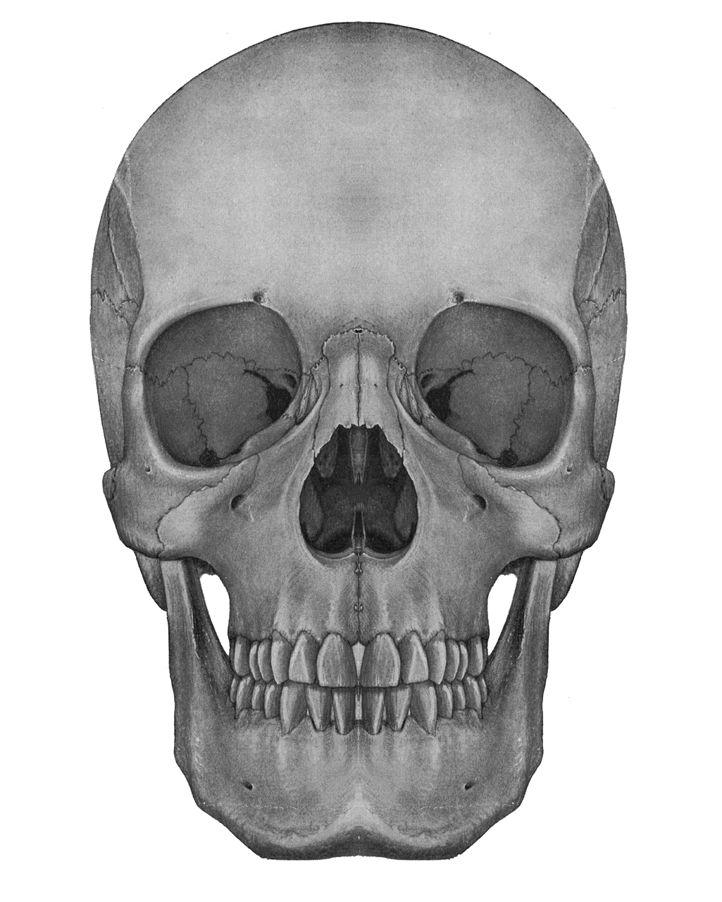 calaveras-y-esqueletos-283.jpg