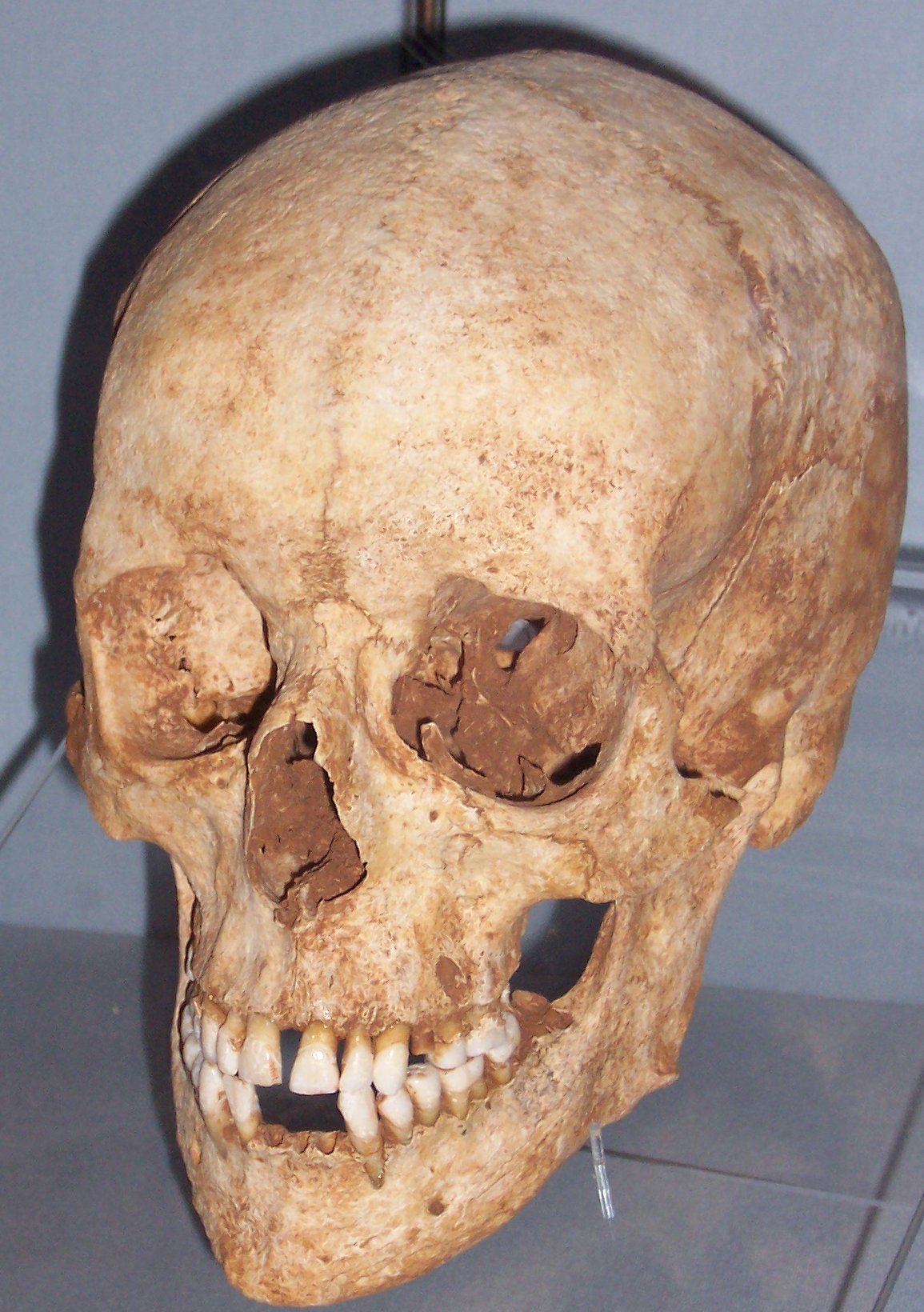 calaveras-y-esqueletos-288.jpg