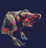 miedo-sustos-scared-068.gif