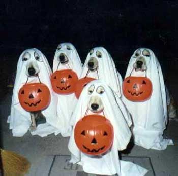 halloween-miscelanea-063.jpg