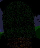 tumbas-010.gif