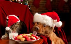 navidad-animales-varios-006.jpg