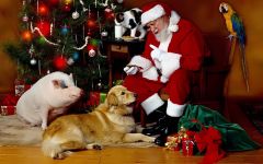 navidad-animales-varios-007.jpg