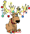 navidad-animales-renos-navidenyos-019.gif