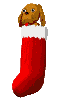 navidad-calcetines-navidenyos-011.gif