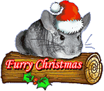 navidad-santa-claus-papa-noel-211.gif