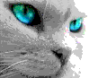 gifs-animados-grandes-010.gif