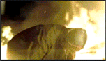 gifs-animados-grandes-012.gif