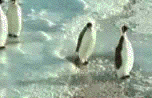gifs-animados-grandes-023.gif