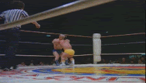 gifs-animados-grandes-058.gif