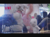 gifs-animados-grandes-070.gif
