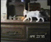 gifs-animados-grandes-100.gif