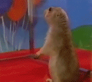 gifs-animados-grandes-138.gif