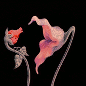 gifs-animados-grandes-154.gif