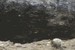gifs-animados-grandes-157.gif