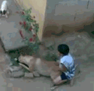 gifs-animados-grandes-179.gif