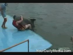 gifs-animados-grandes-184.gif