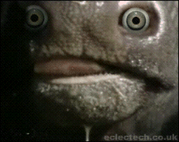 gifs-animados-grandes-212.gif