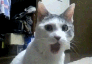 gifs-animados-grandes-219.gif