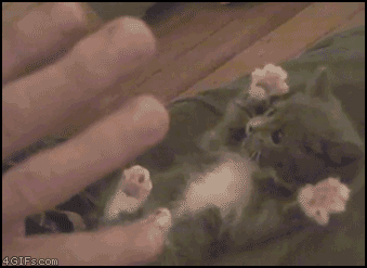 gifs-animados-grandes-307.gif