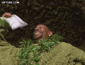 gifs-animados-grandes-310.gif