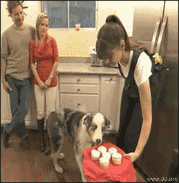gifs-animados-grandes-323.gif