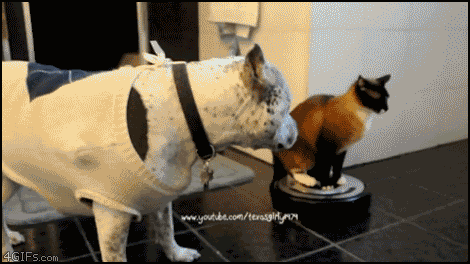 gifs-animados-grandes-324.gif