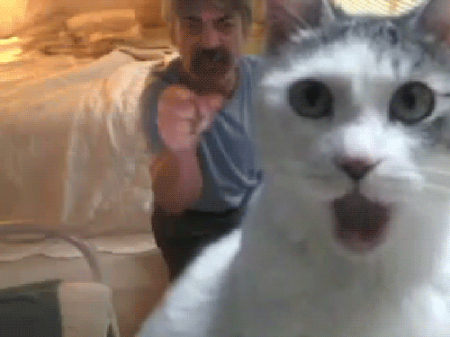 gifs-animados-grandes-384.gif