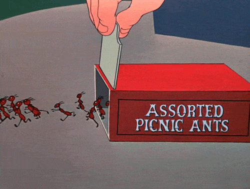 gifs-animados-grandes-385.gif