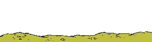 indios-026.gif