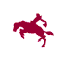 vaqueros-020.gif