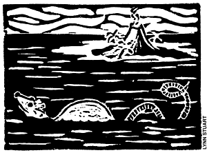 historia-varios-015.gif