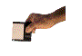 diskette-167.gif